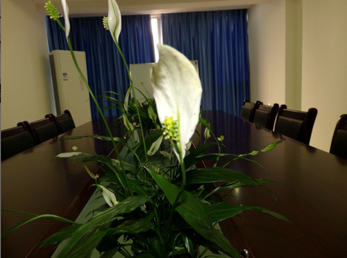 金邦博环保会议室3